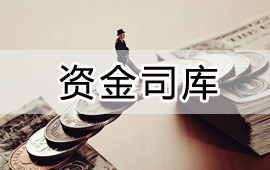 用友大型企業(yè)司庫(kù)管理解決方案